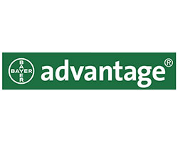 advantage